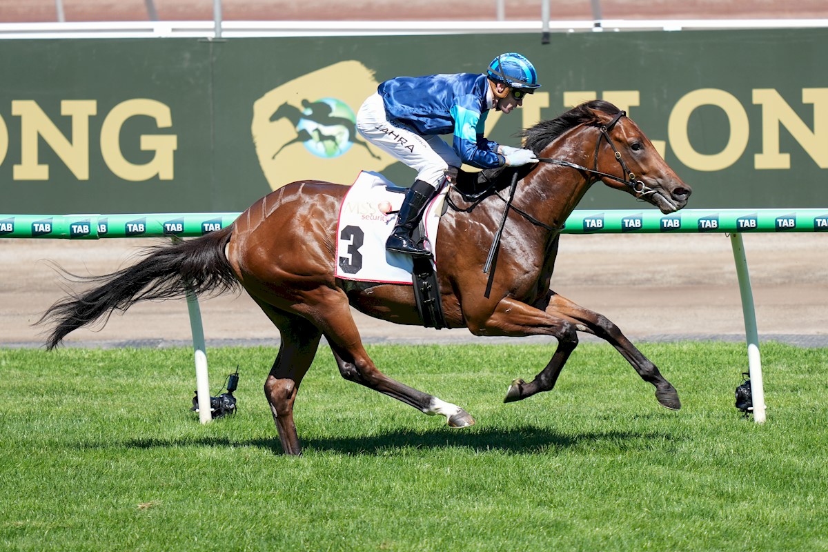 Vinrock and Mark Zahra winning the VRC Inglis Sires' Stakes Vinrock and Mark Zahra winning the VRC Inglis Sires' Stakes